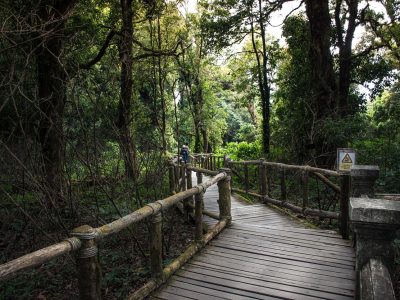 Tour 17 : Soft Trekking 2 hrs at Doi Inthanon National Park